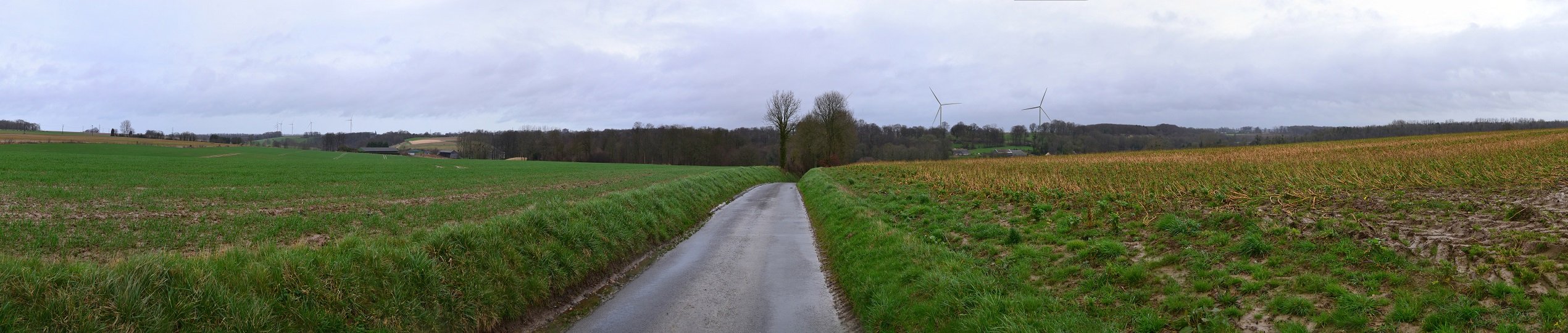 PM36